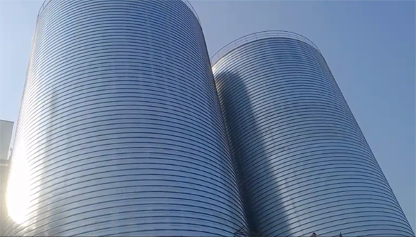 大英2座混凝土高架卷板仓